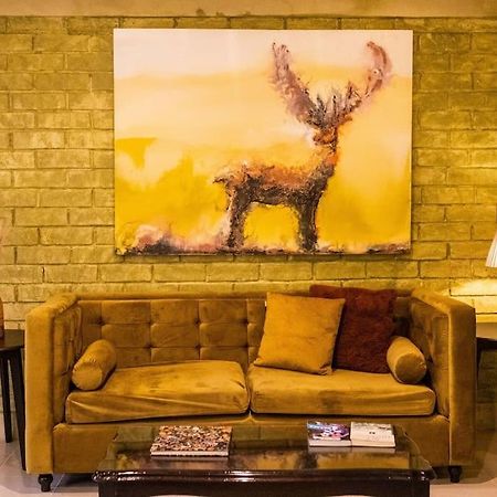3 Bd House Steps From Santo Domingo Διαμέρισμα Oaxaca Εξωτερικό φωτογραφία