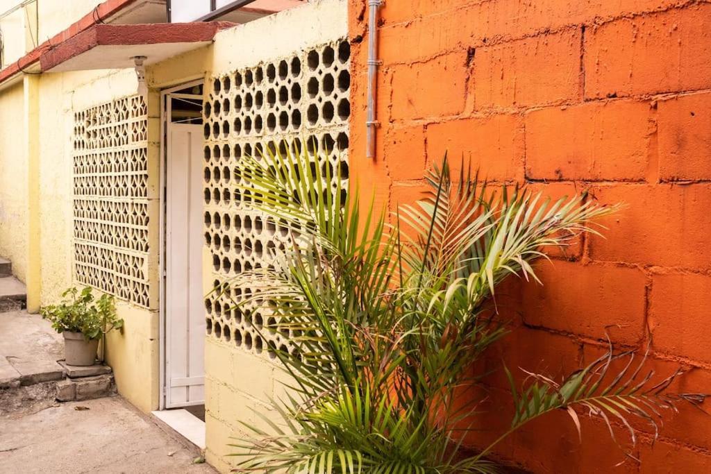 3 Bd House Steps From Santo Domingo Διαμέρισμα Oaxaca Εξωτερικό φωτογραφία