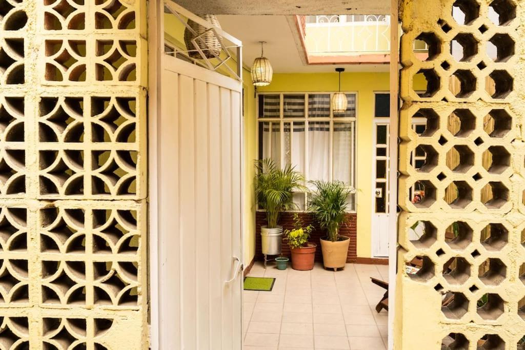 3 Bd House Steps From Santo Domingo Διαμέρισμα Oaxaca Εξωτερικό φωτογραφία