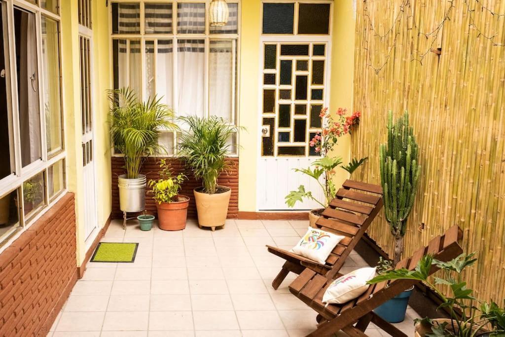 3 Bd House Steps From Santo Domingo Διαμέρισμα Oaxaca Εξωτερικό φωτογραφία