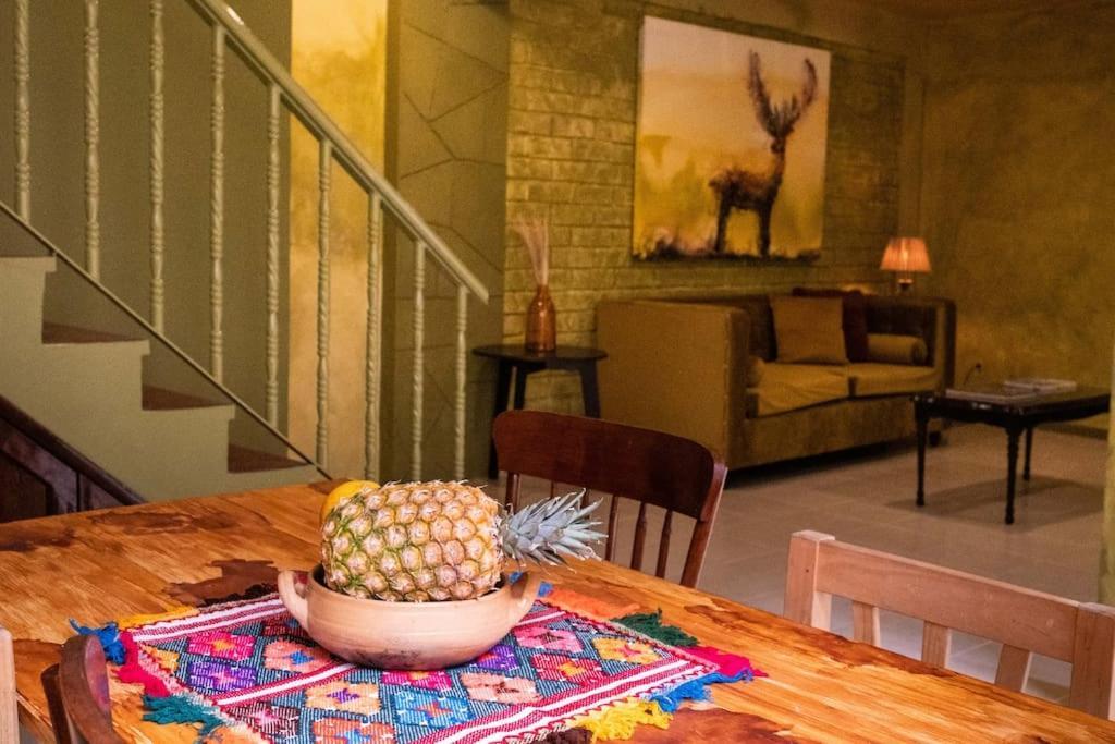 3 Bd House Steps From Santo Domingo Διαμέρισμα Oaxaca Εξωτερικό φωτογραφία