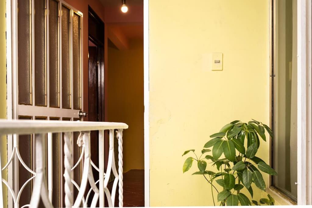 3 Bd House Steps From Santo Domingo Διαμέρισμα Oaxaca Εξωτερικό φωτογραφία